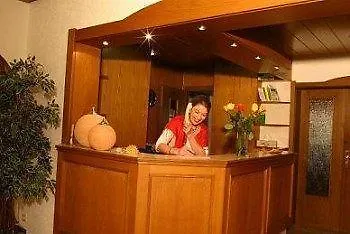 Hotel Terra Nova 4*