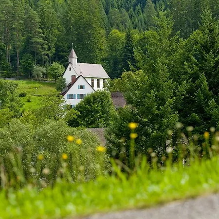 Hotel Terra Nova 4*