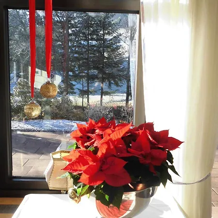 Terra Nova 4* Baiersbronn